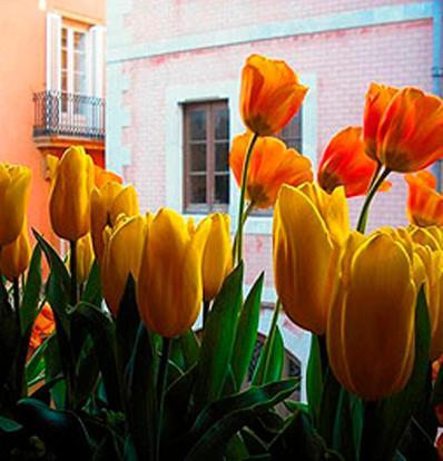 Boutique Hotel Davallada- Adults Only ซีเจส ภายนอก รูปภาพ